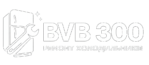 BVB 30